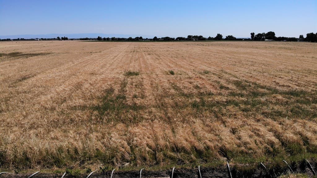 TBD Road 11 — photo 2 of 4