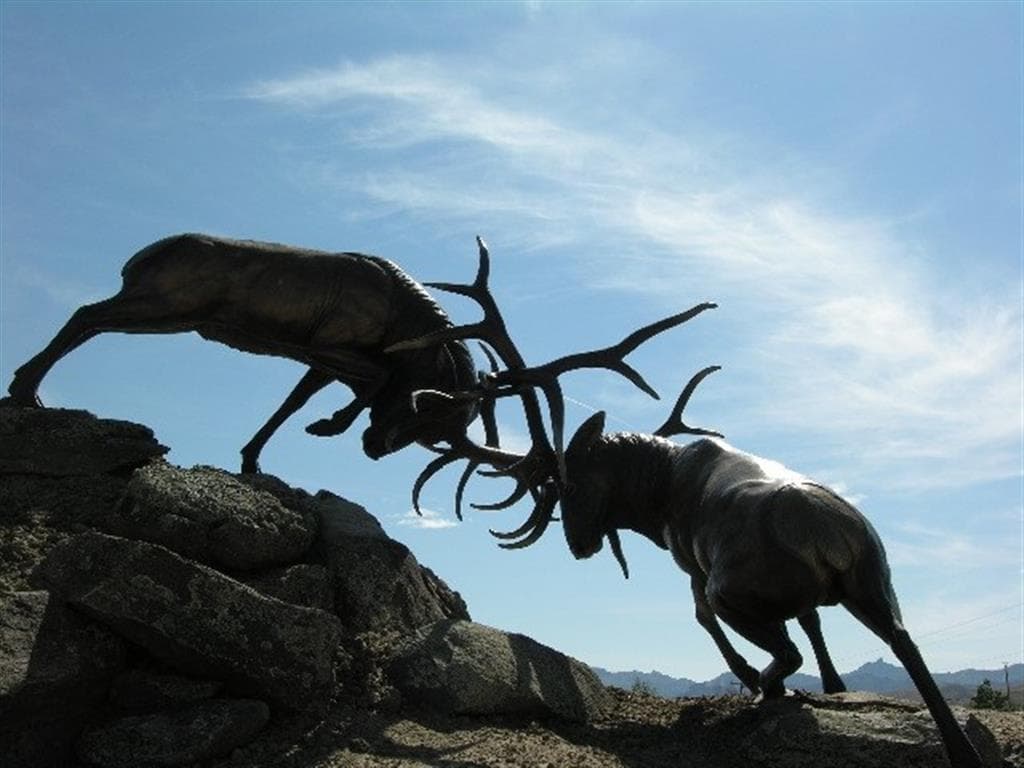 50 Stillwater Dr — photo 10 of 10