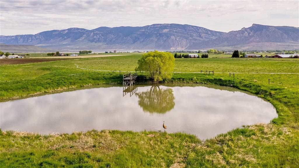 272 Road 6RT — photo 55 of 88