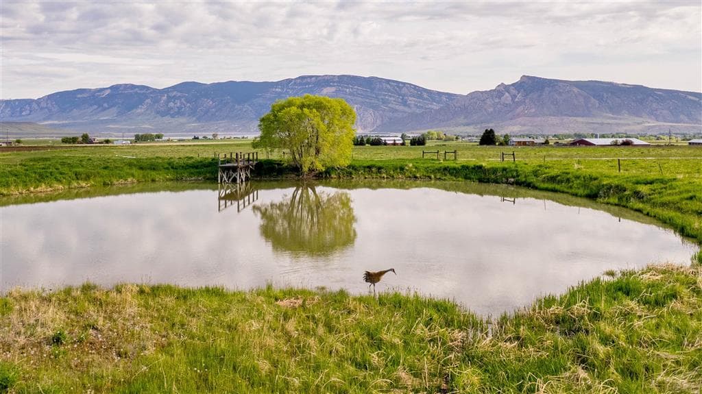 272 Road 6RT — photo 57 of 88