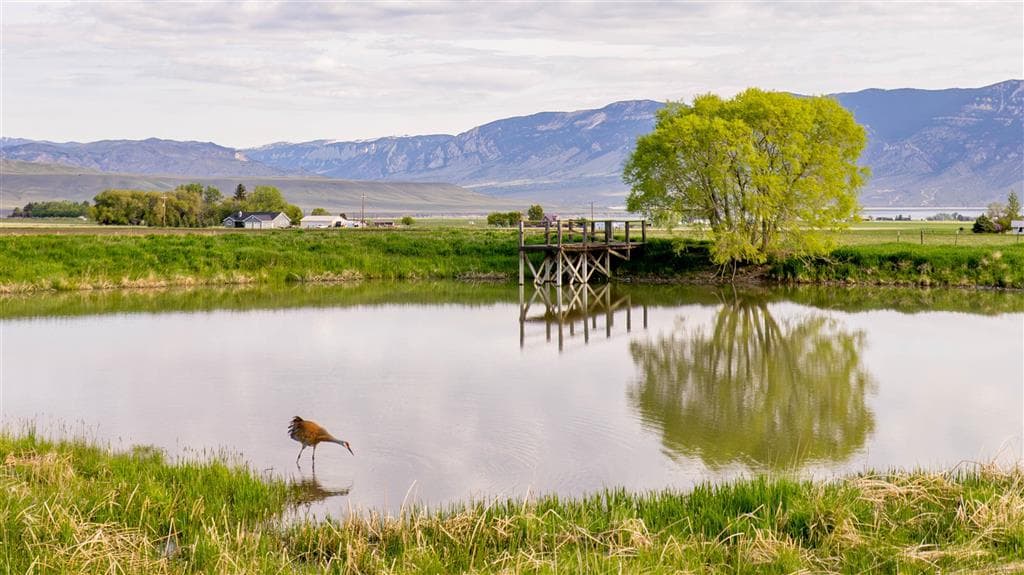 272 Road 6RT — photo 58 of 88