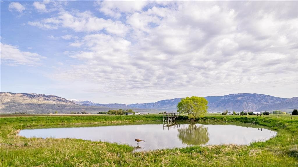 272 Road 6RT — photo 59 of 88