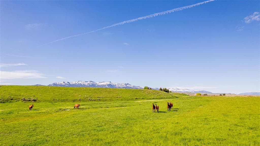 272 Road 6RT — photo 72 of 88