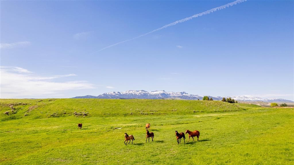 272 Road 6RT — photo 73 of 88