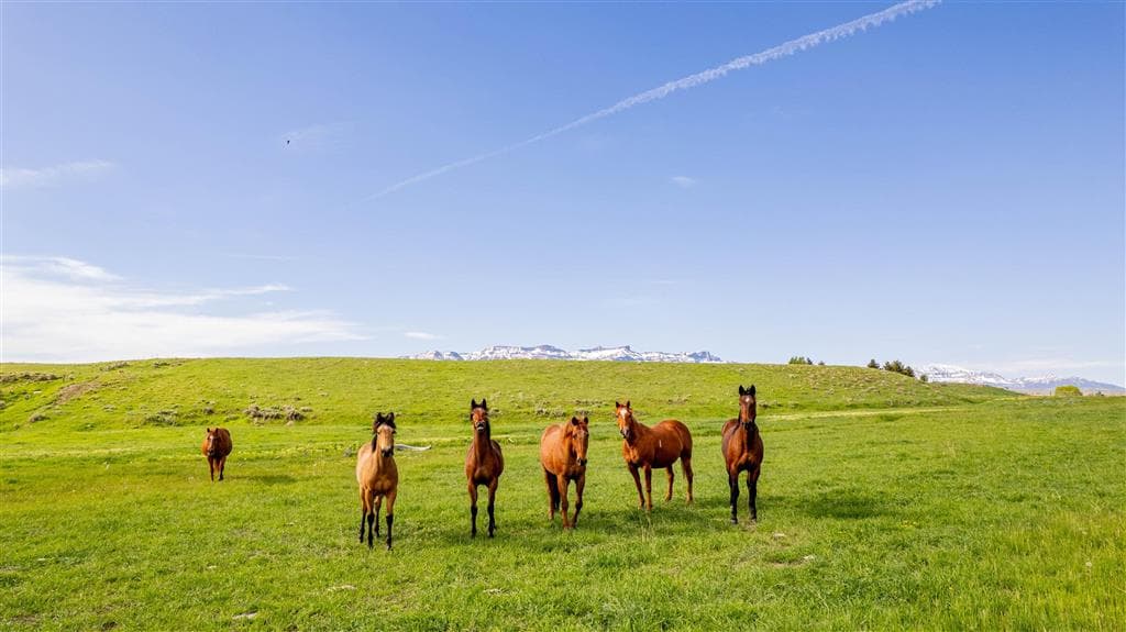 272 Road 6RT — photo 74 of 88