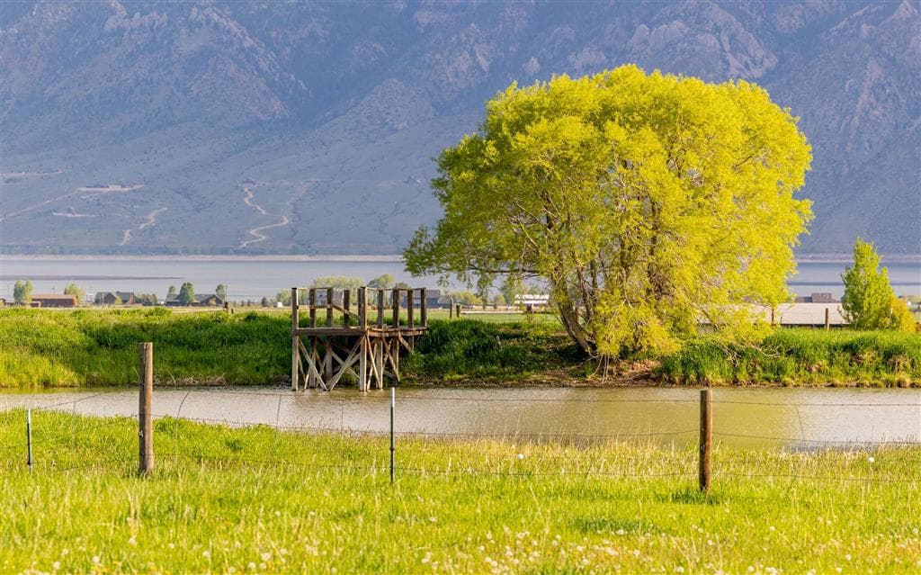 272 Road 6RT — photo 85 of 88