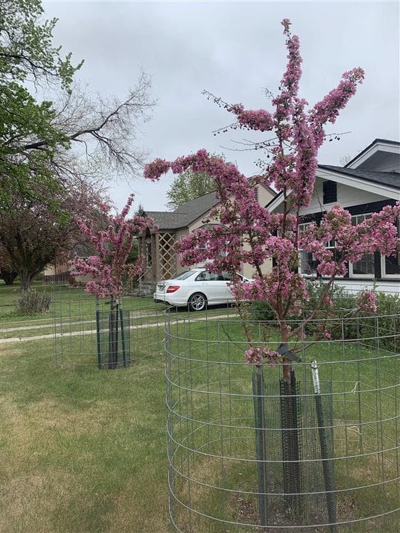 916 Canyon Ave — photo 3 of 38