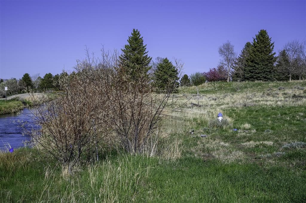 407 Indigo Circle — photo 60 of 90