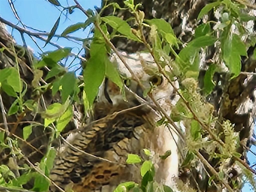 2609 Beaver Creek Rd — photo 48 of 88