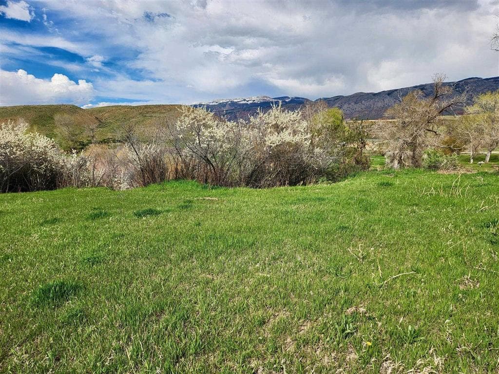 2609 Beaver Creek Rd — photo 51 of 88