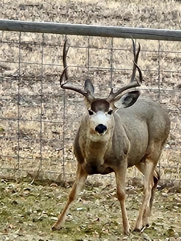 2609 Beaver Creek Rd — photo 60 of 88