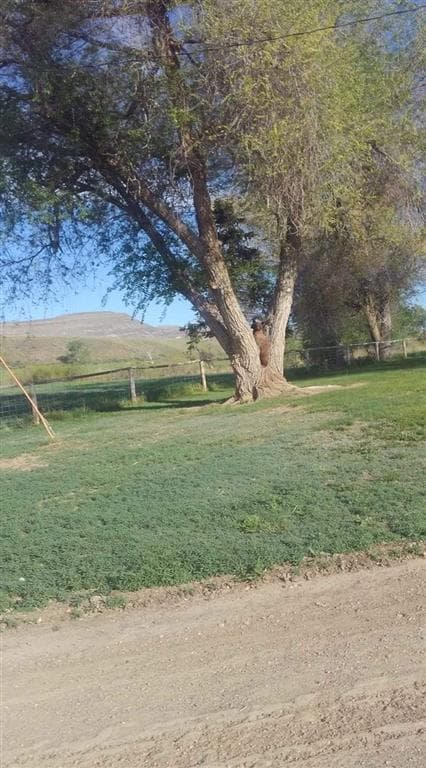 2609 Beaver Creek Rd — photo 61 of 88