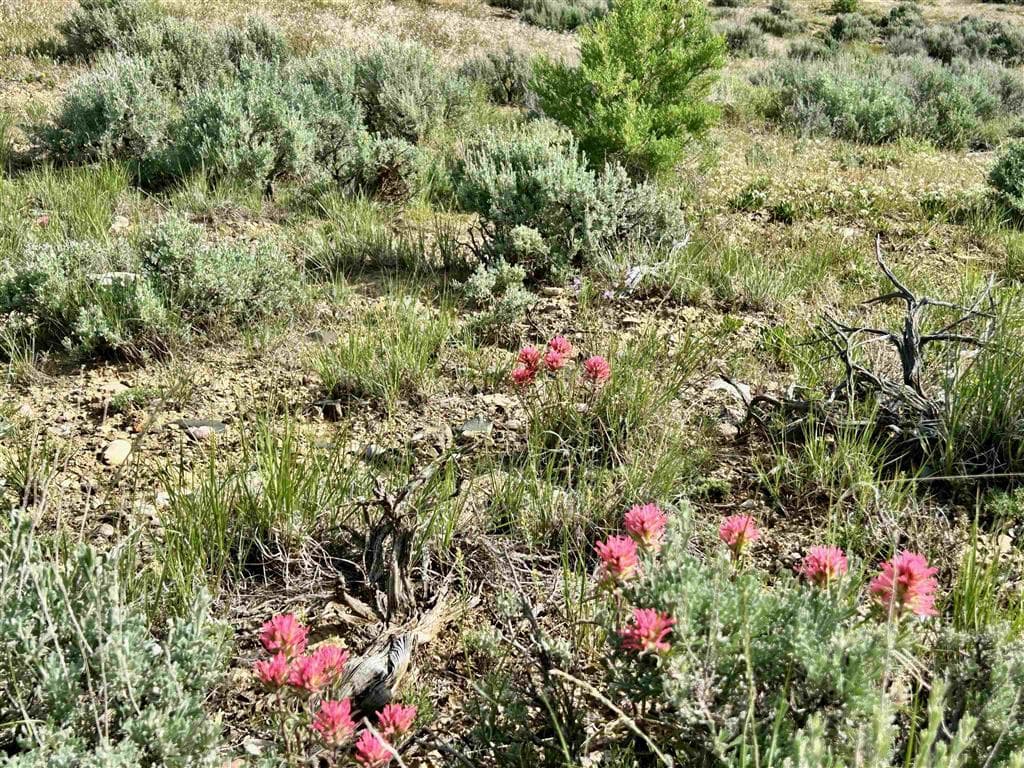 2609 Beaver Creek Rd — photo 62 of 88