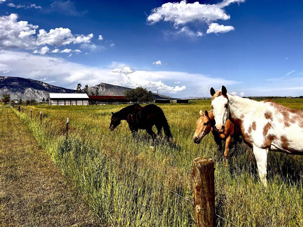 30 Carter Mountain Rd — photo 51 of 55