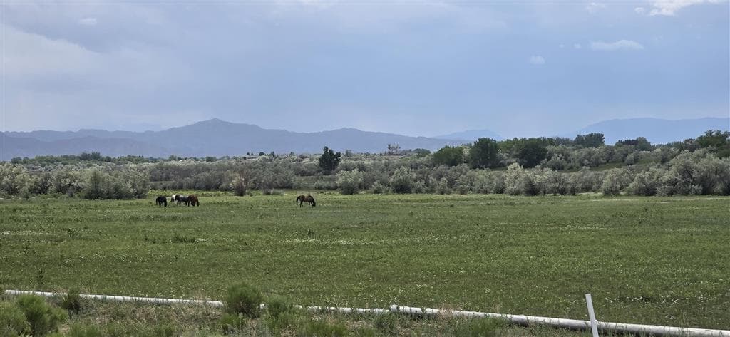 950 Road 7 — photo 41 of 41