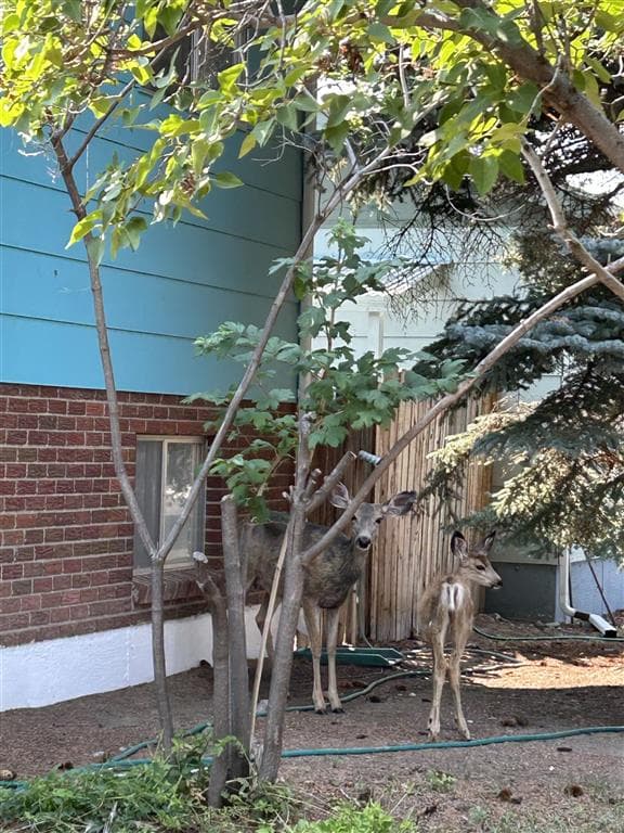 1024 Red Butte Ave — photo 37 of 38