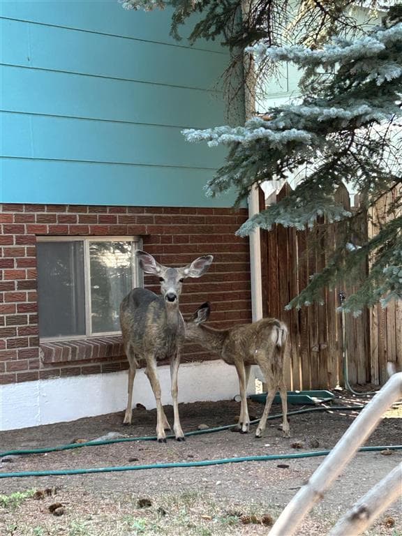 1024 Red Butte Ave — photo 38 of 38