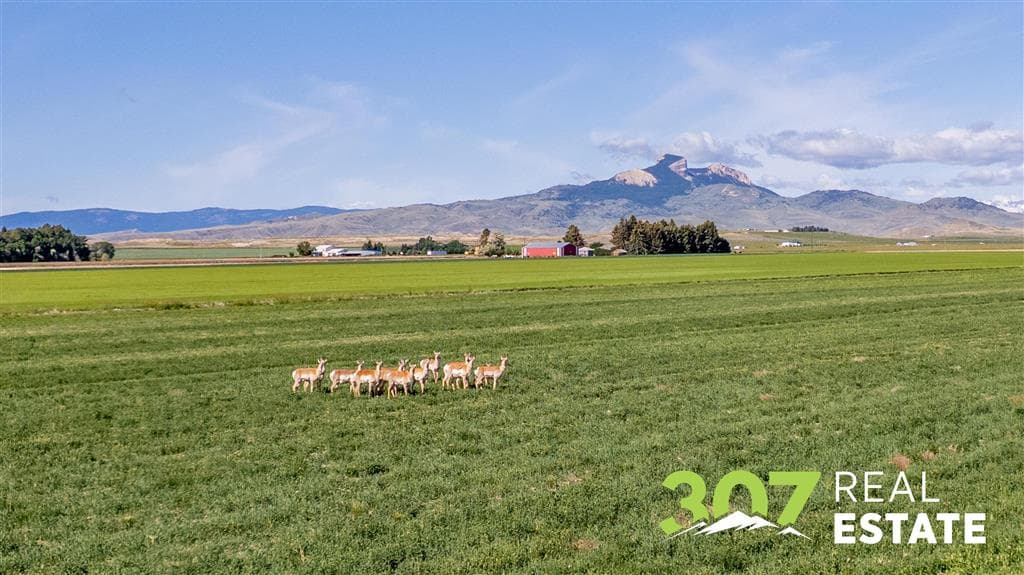 TBD Road 20 — photo 5 of 27