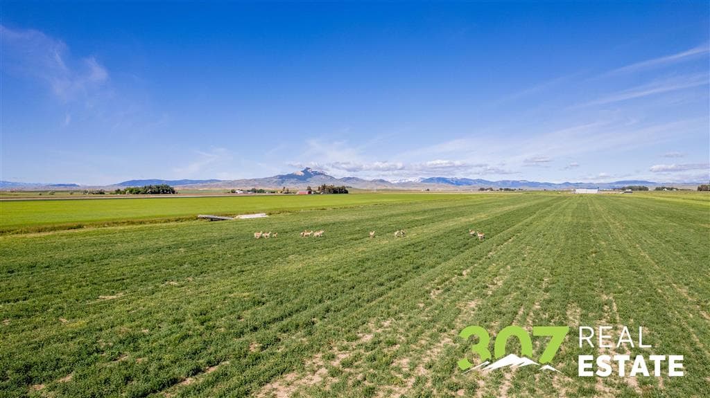 TBD Lane 10 — photo 7 of 27