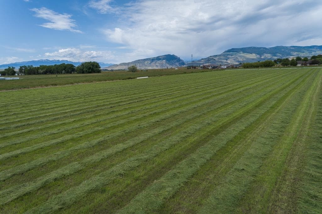 TBD Hitching Post Dr — photo 11 of 15