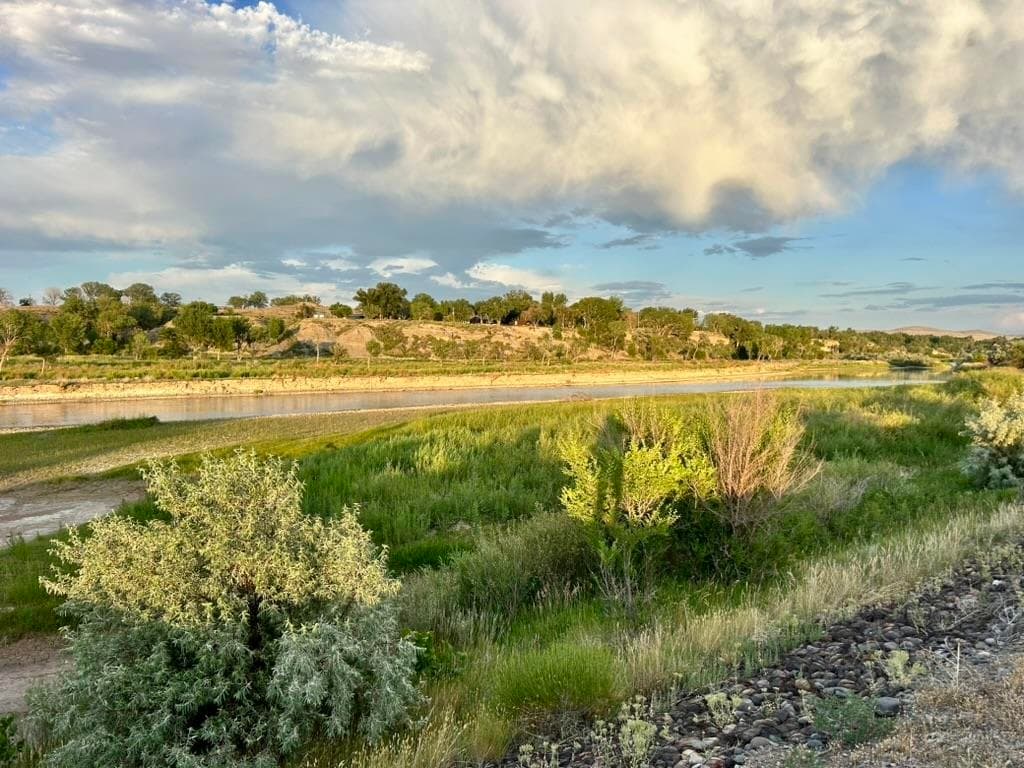 1321 N 6th St — photo 12 of 38