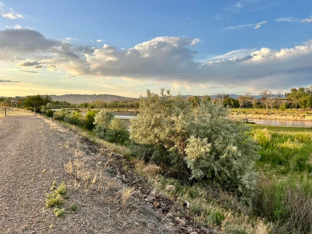 1321 N 6th St — photo 15 of 38