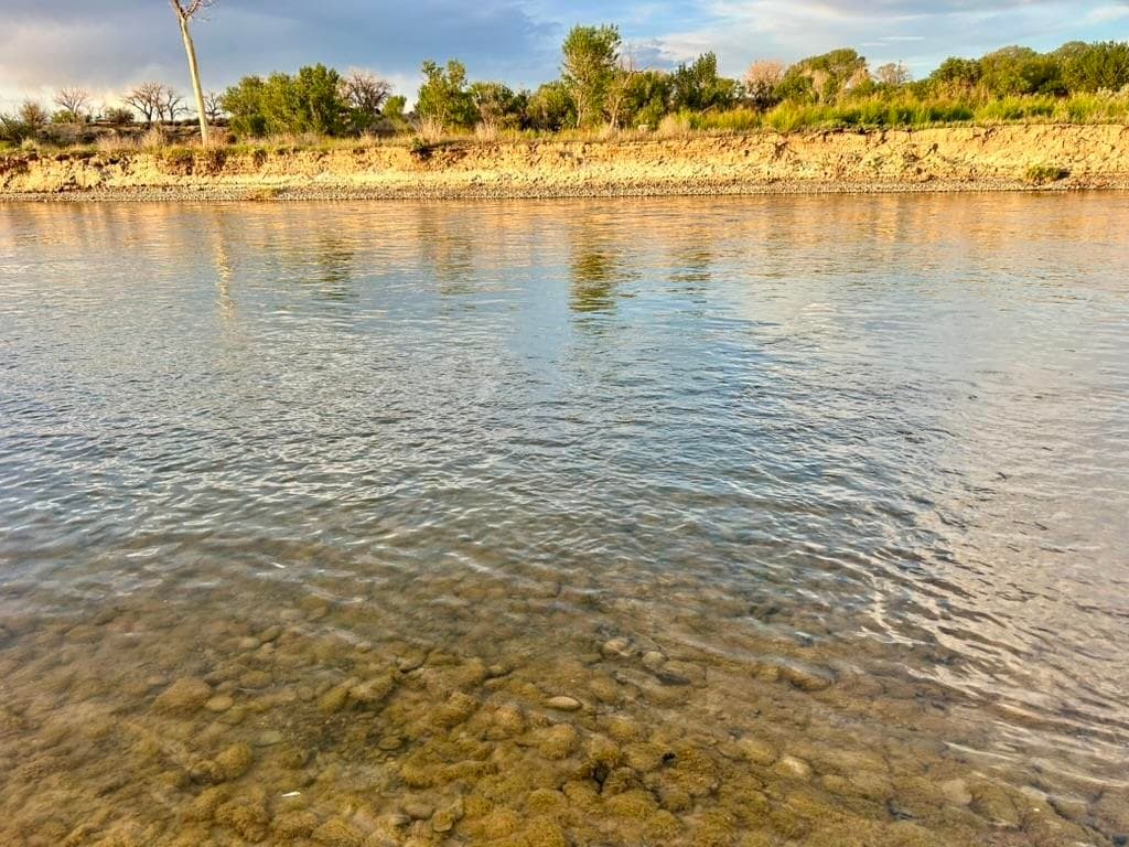 1321 N 6th St — photo 16 of 38