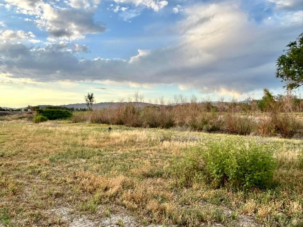 1321 N 6th St — photo 17 of 38