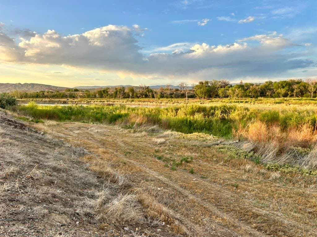 1321 N 6th St — photo 18 of 38