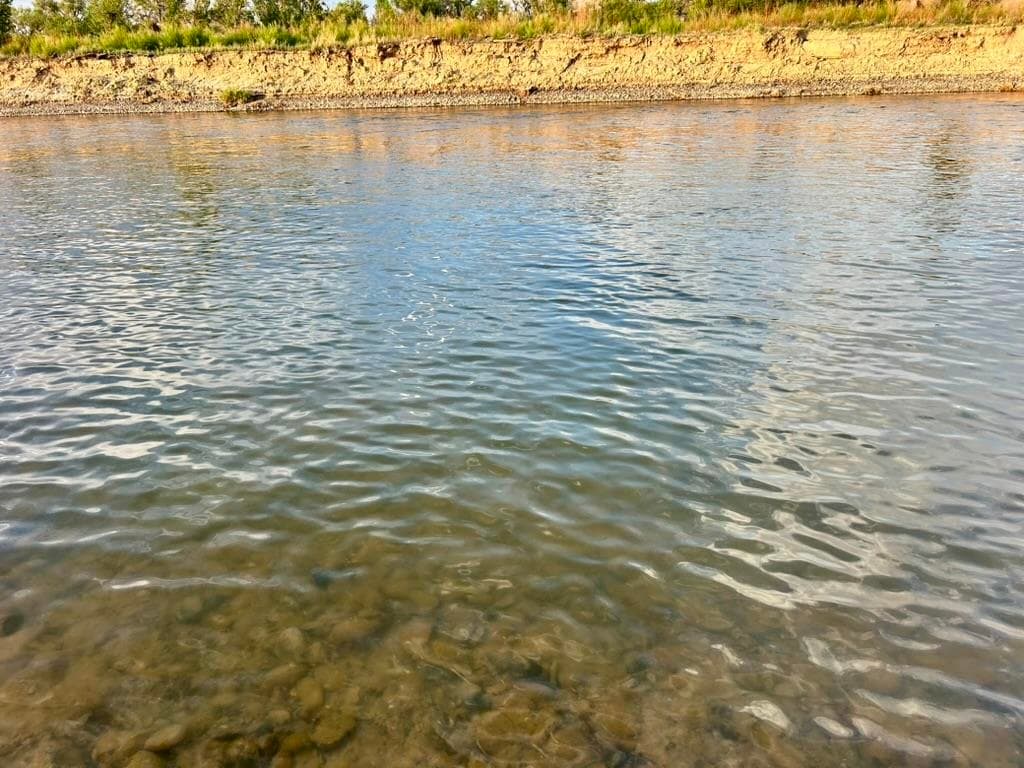 1321 N 6th St — photo 19 of 38