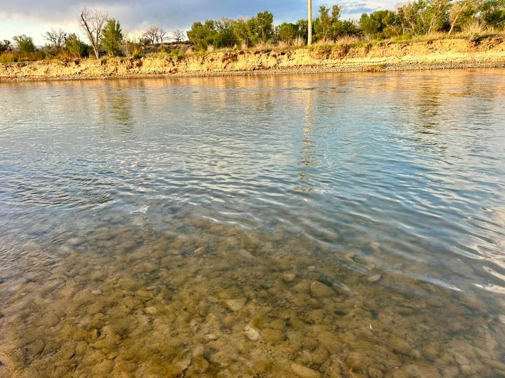 1321 N 6th St — photo 24 of 38