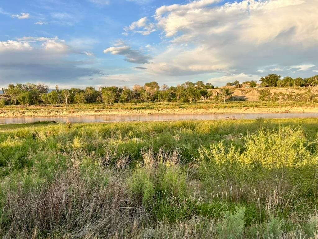 1321 N 6th St — photo 25 of 38