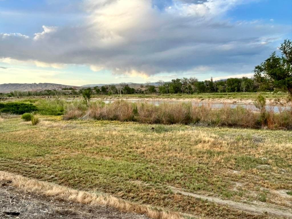 1321 N 6th St — photo 28 of 38