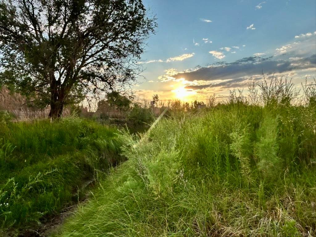 1321 N 6th St — photo 32 of 38