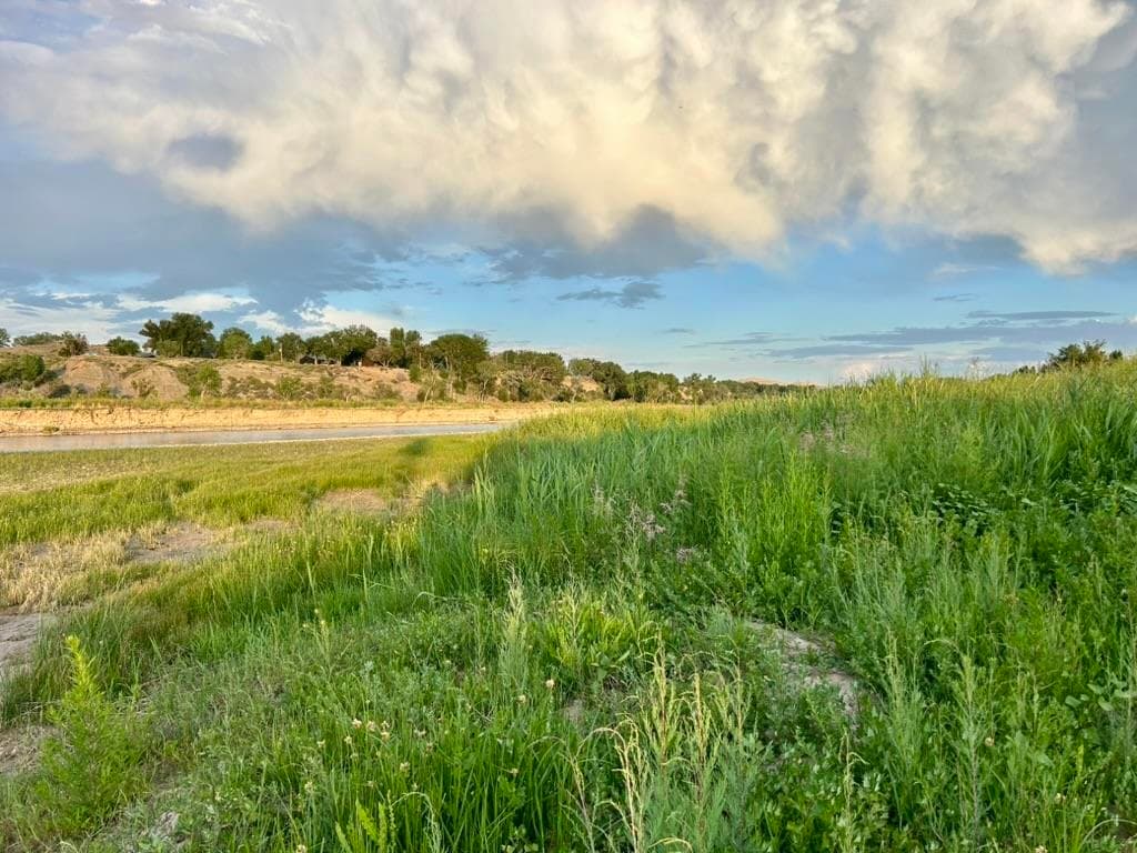 1321 N 6th St — photo 34 of 38