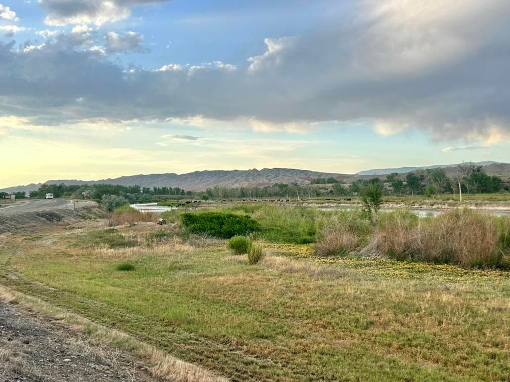 1321 N 6th St — photo 5 of 38