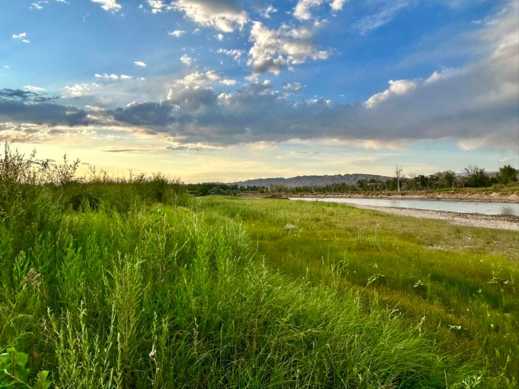 1321 N 6th St — photo 6 of 38