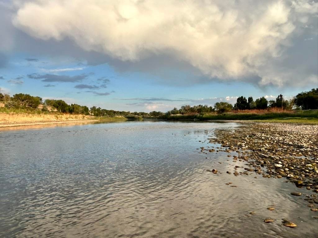 1321 N 6th St — photo 10 of 38