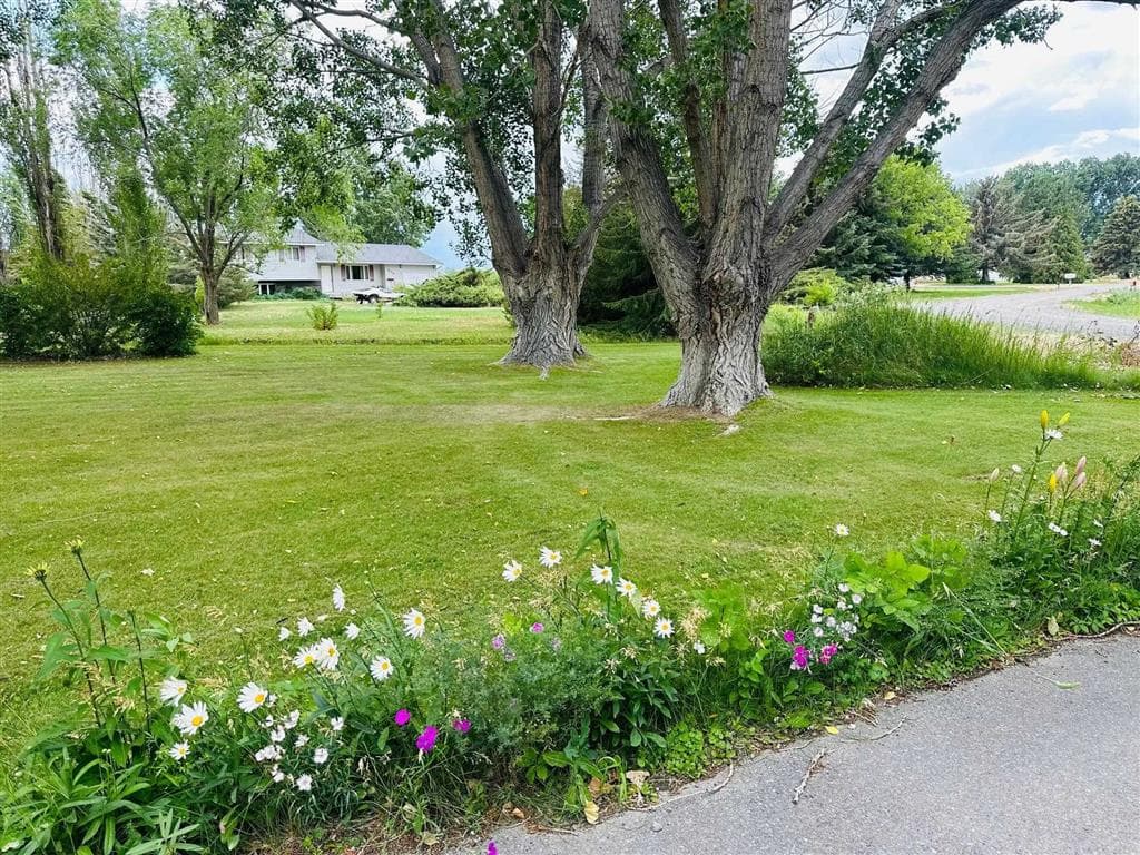 871 E Christy Ln — photo 46 of 51