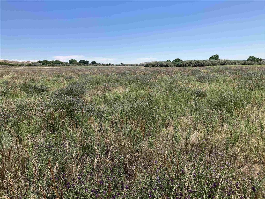 TBD Road 5N — photo 20 of 38