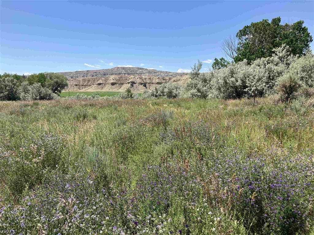 TBD Road 5N — photo 22 of 38