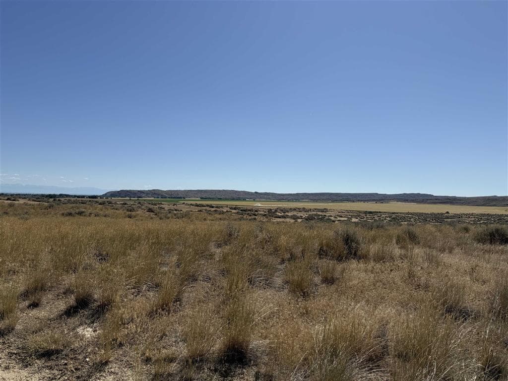 2396 Hwy 20 S — photo 3 of 3