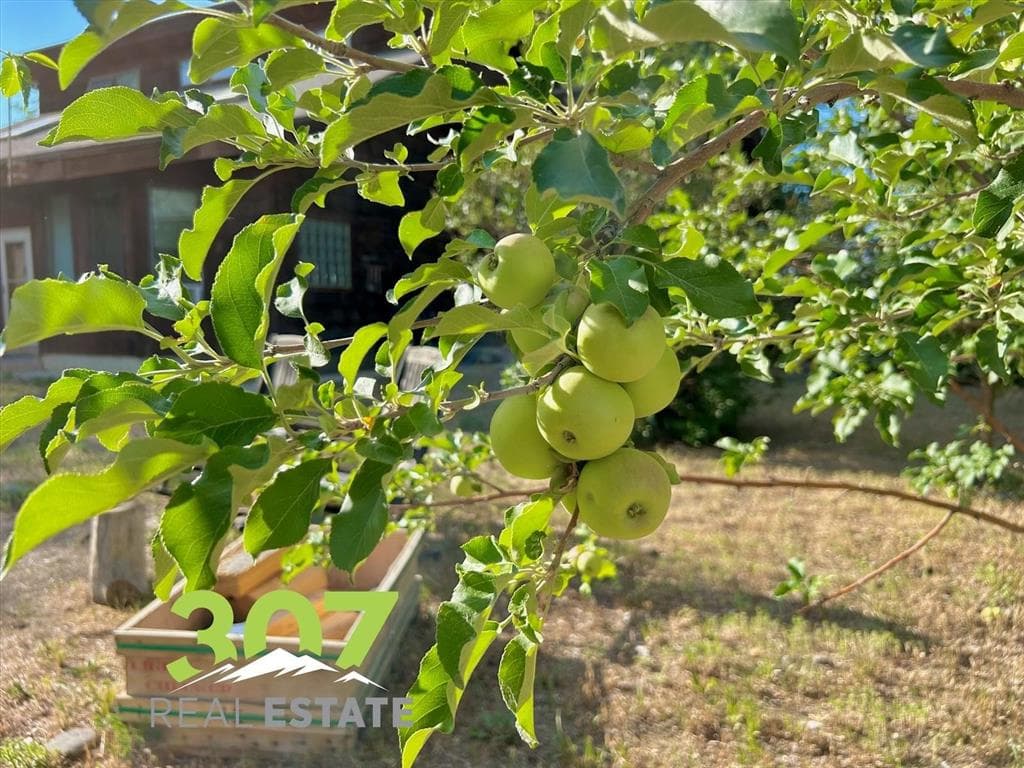 403 Fiddlers Ln — photo 7 of 51