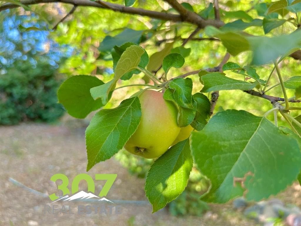 403 Fiddlers Ln — photo 8 of 51