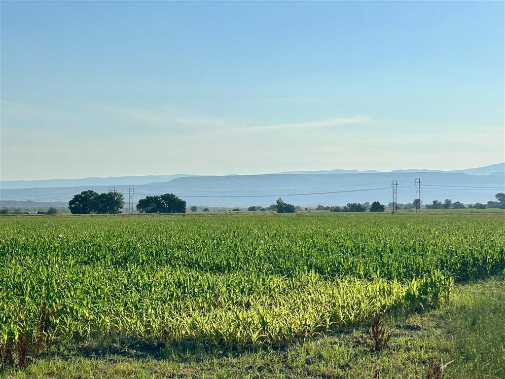 1135 Road 13 — photo 11 of 73