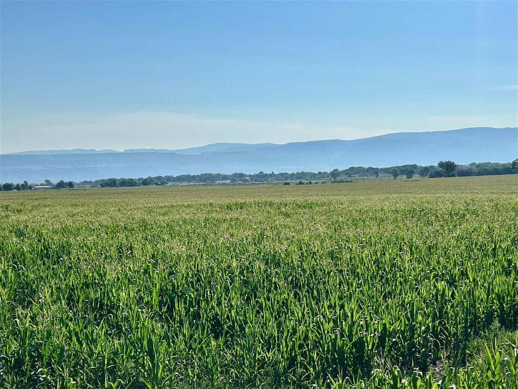 1135 Road 13 — photo 22 of 73