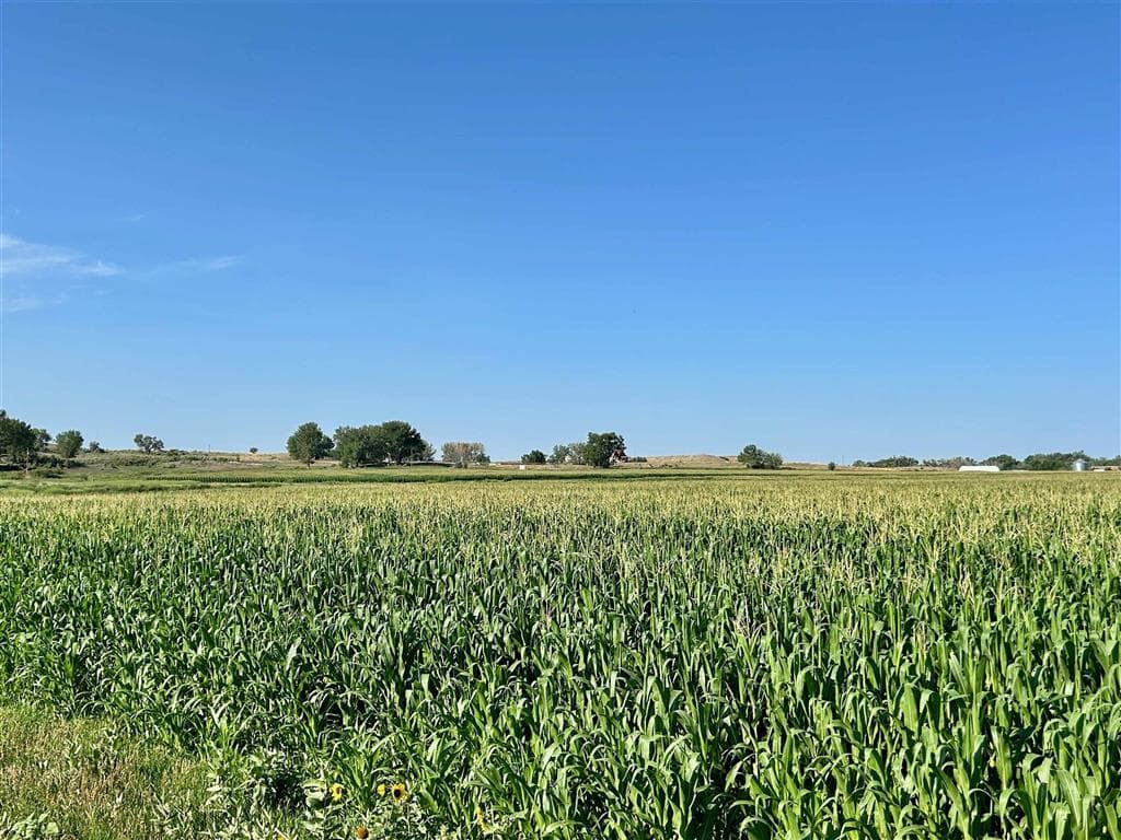 1135 Road 13 — photo 23 of 73