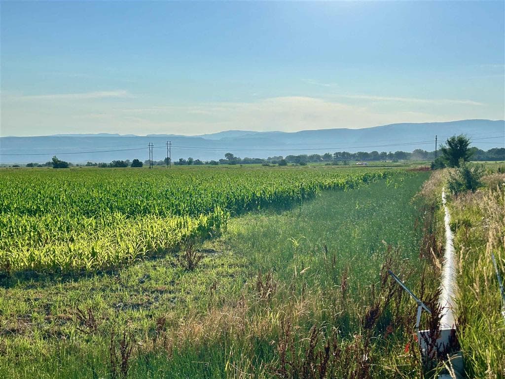 1135 Road 13 — photo 29 of 73