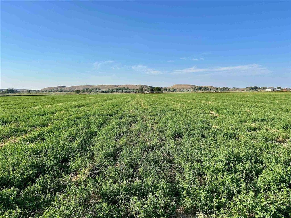 1135 Road 13 — photo 30 of 73