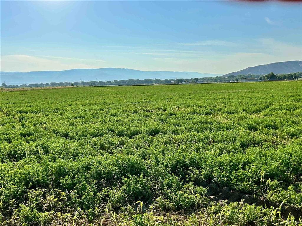 1135 Road 13 — photo 31 of 73